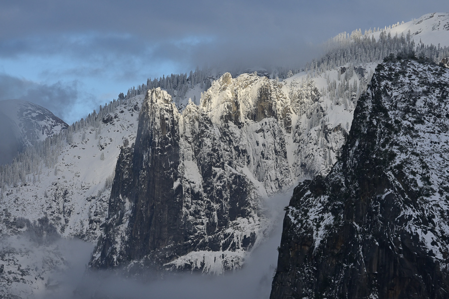Winter Sentinel