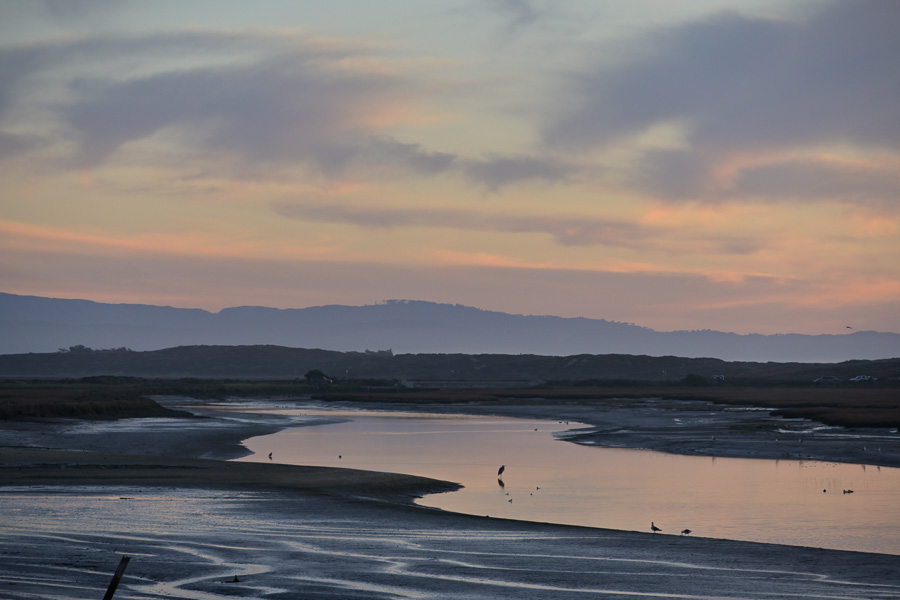 Old Salinas River 2