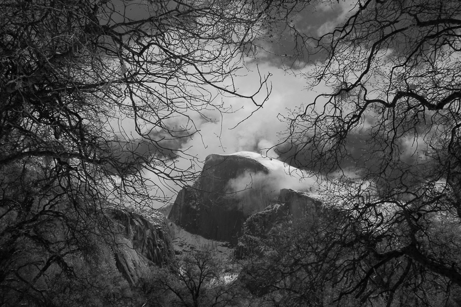 Half Dome Through the Trees