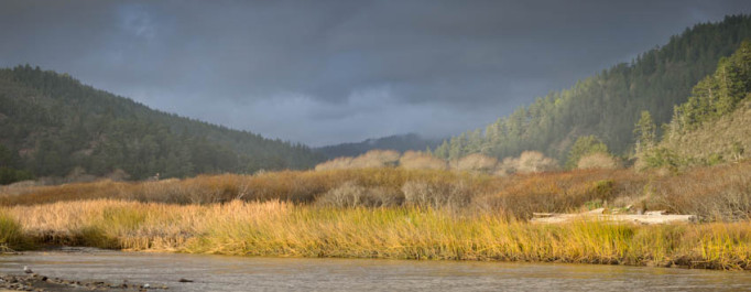 Big Basin Wonder Pano