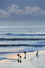 Cowell's Skimboarders