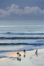 Cowell's Skimboarders