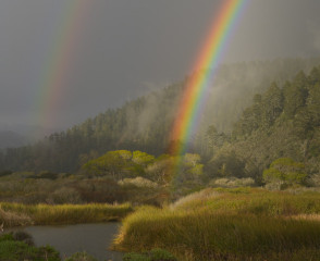 Waddell Rainbow 4x5