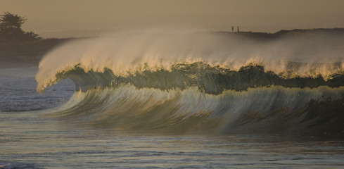 Up and Golden at Dawn