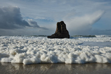 Sea Foam of Davenport