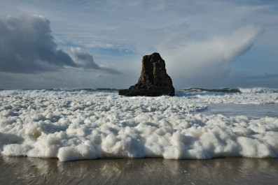 Sea Foam of Davenport