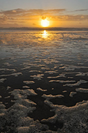Shore Forms