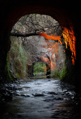 Tunnel Light Fire