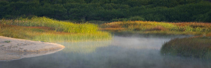 Vibrant Marsh Pano