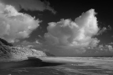 Waddell Infrared