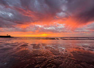 Low Tide Iphone Reds