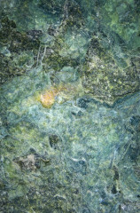 Big Sur Serpentinite