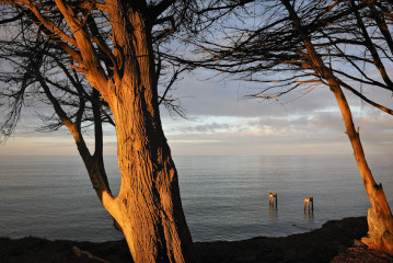 Cypress Cliffs