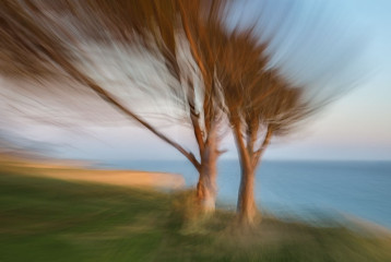 dance-on-the-sunlit-shores
