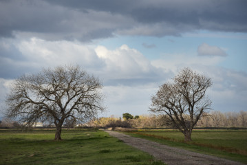 Merced Wildlife Refuge