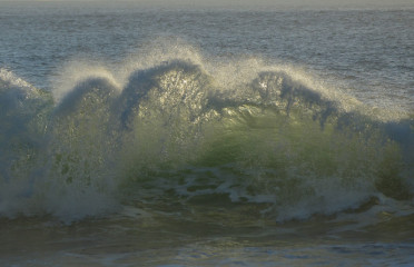 Studies on Waves I
