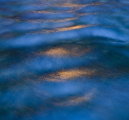 Blue and Gold