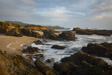 Bean Hollow On the Rocks