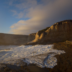 North Shores