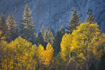 Fall in Yosemite