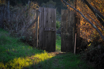 Garden Gate