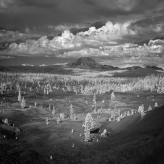 Lassen in Shadow