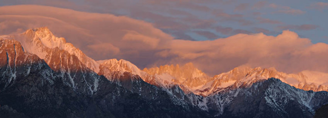 Majestic Pink