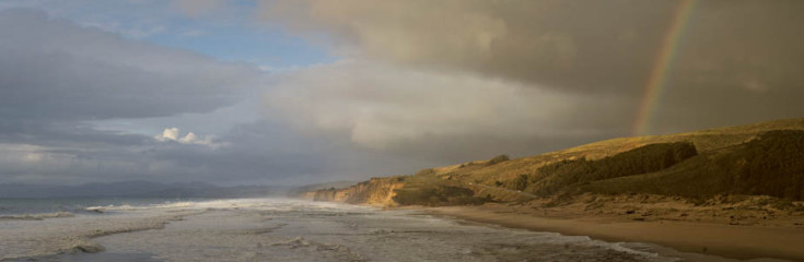 Pescadero Winter
