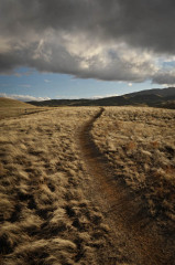Pinoche Trails