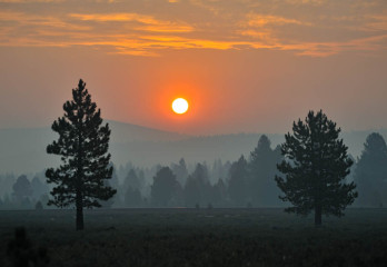 Red Lassen