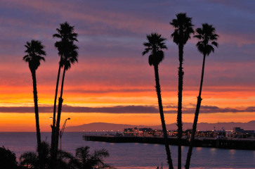 Santa Cruz Palms