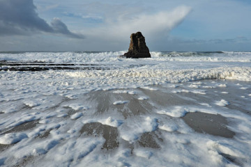 Sea Foam of Davenport Part 2