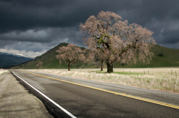 Tehachapi Roads