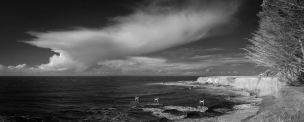 Winter Over Sea - Pano