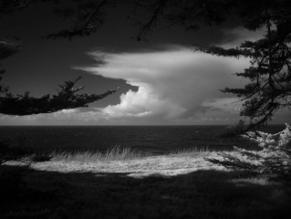Winter over Sea
