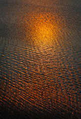 Zen Shore