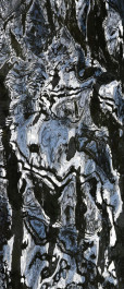 Life Forms II