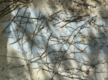 Concrete Blues