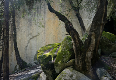 Living Rock