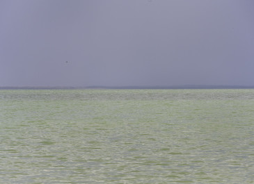 Mono Hues