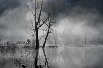River-Awakens