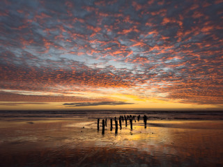 Pilings and Sky
