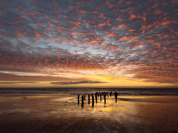 Pilings and Sky
