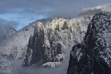 Winter Sentinel