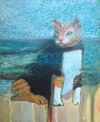 Ocean Cat