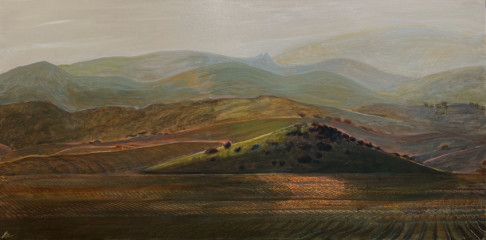 vinyards-in-the-valley-2021