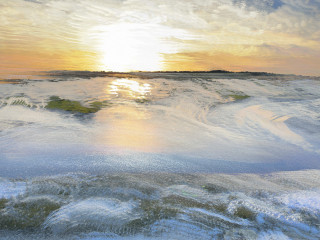 A Really Wonderful Day at the Slough