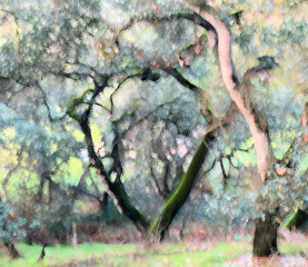 Linwood's Palace in the Oaks