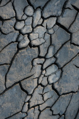 Forms in the Clay