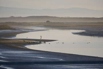 Old Salinas River